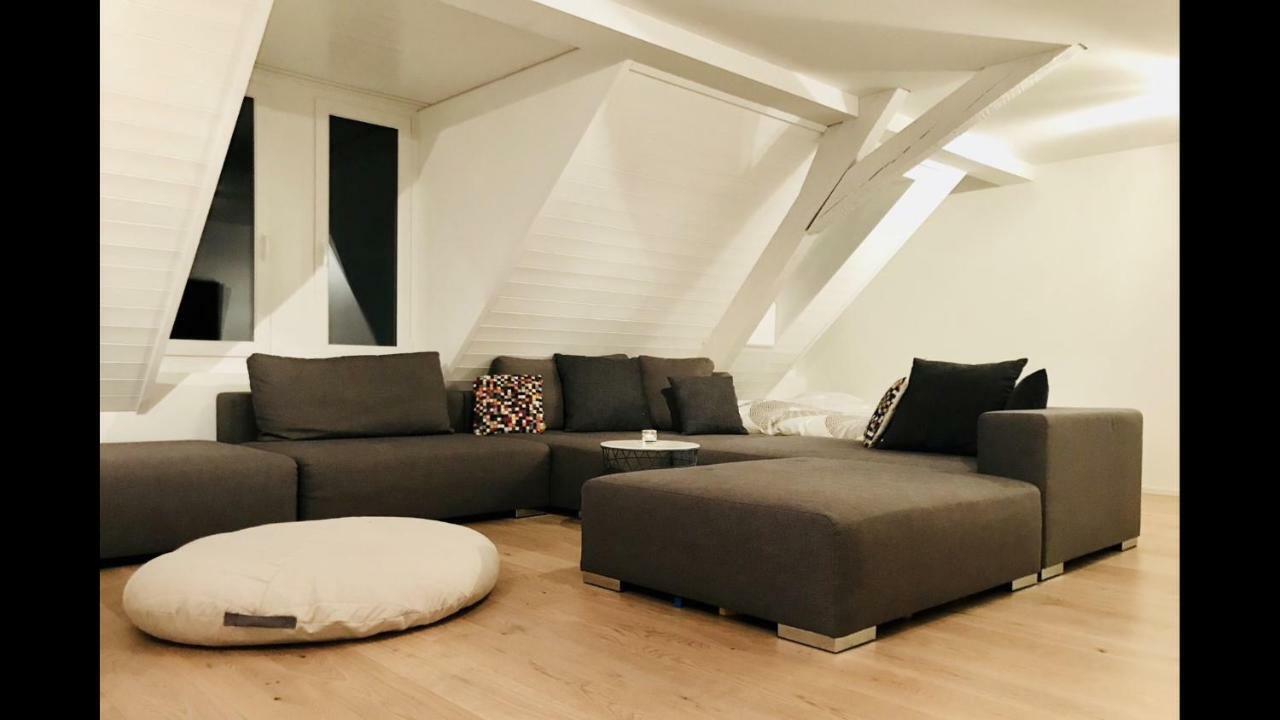Luxury Penthouse Apartment 취리히 외부 사진